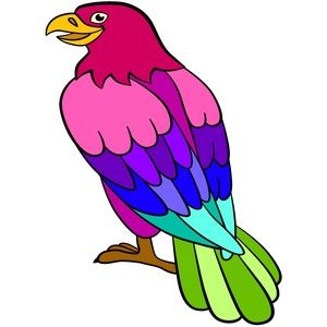 Meet your Posher, Hayat